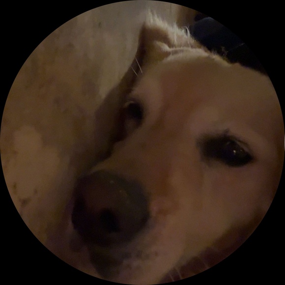 sophiexinyue